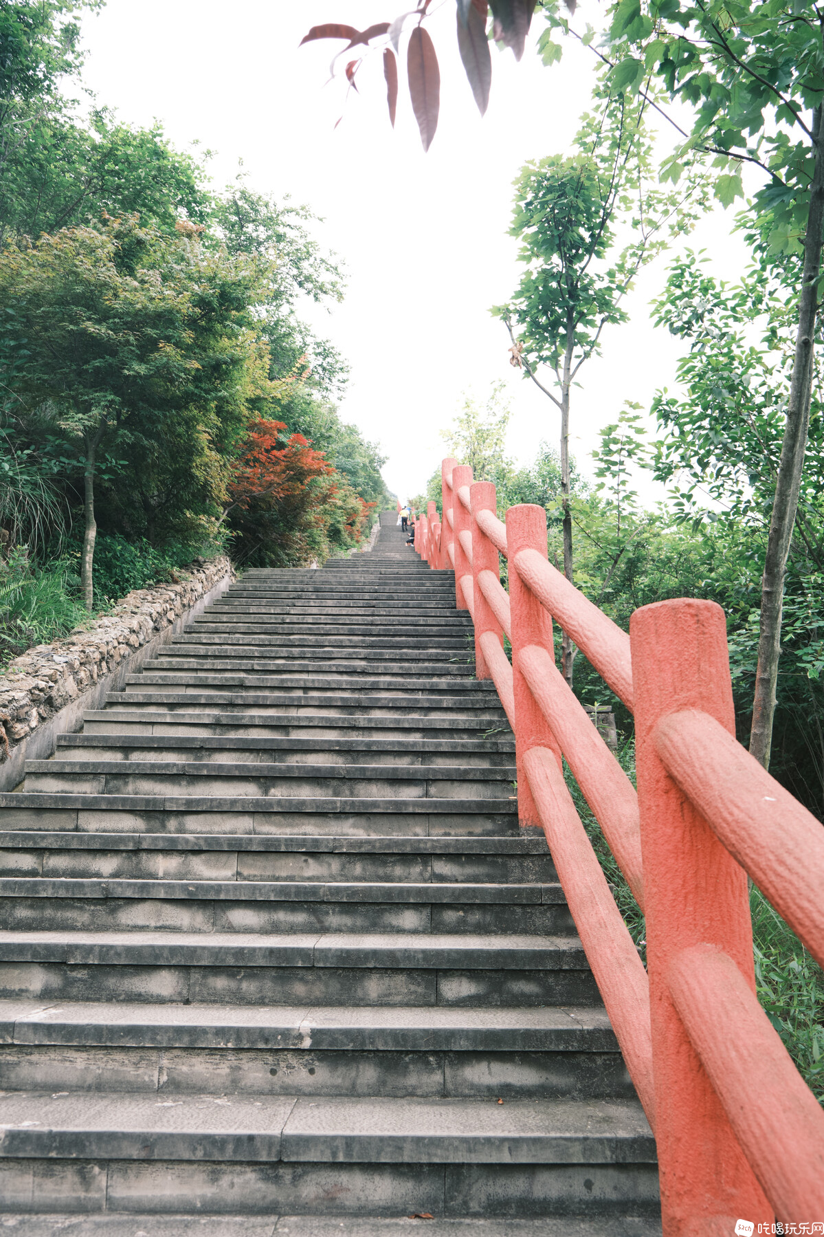 端午峨边背峰山、汉源古路村一游